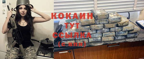 хмурый Михайловск