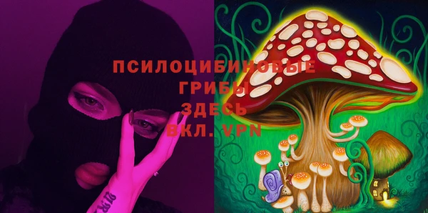 хмурый Михайловск