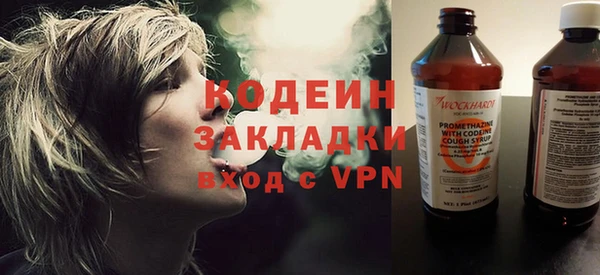 хмурый Михайловск