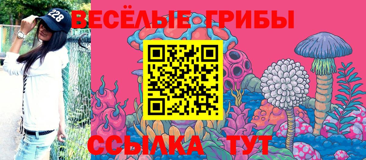 Саратов  Галлюциногенные грибы Psilocybine cubensis  что такое   Псилоцибиновые грибы мицелий  Вход с VPN 