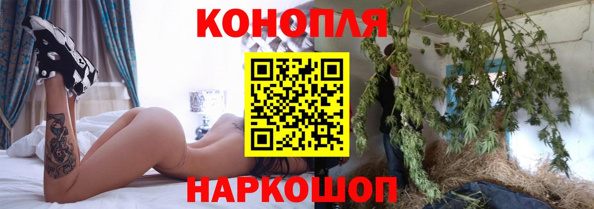 Бошки Шишки семена Саратов